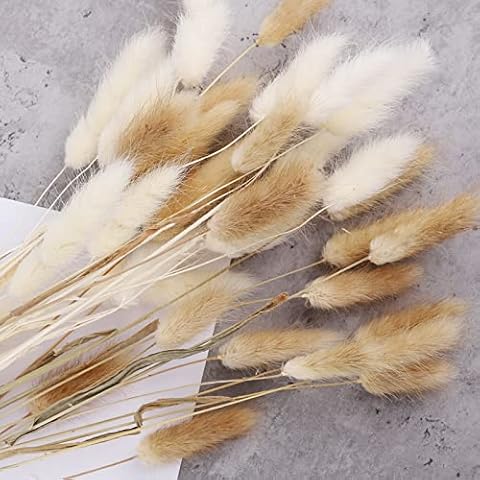 50 Pcs 17.7 Inches Lagurus Bunny Tails Pampas Grass Decor White Pink Artificial Rabbit Tails Dried Flowers Bouquet for Home Decor Boho Decor Table Decoration Room Bedroom Decor Cover
