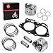 Top End Rebuild Kit Piston & Ring Gasket STD Compatible with EZGO 4 Cycle Gas Golf Cart 350cc EH35C MCI Fuji Robin Engine 1996-2008 72504G01 72505G01