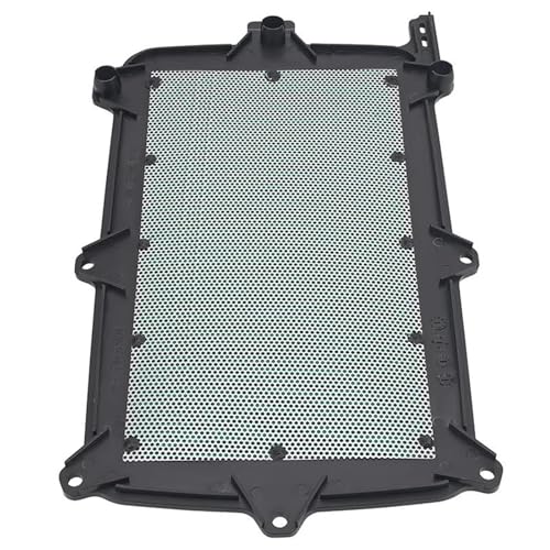 Filtre d'admission premium pour Talon 1000X-4 Édition Spéciale - 7