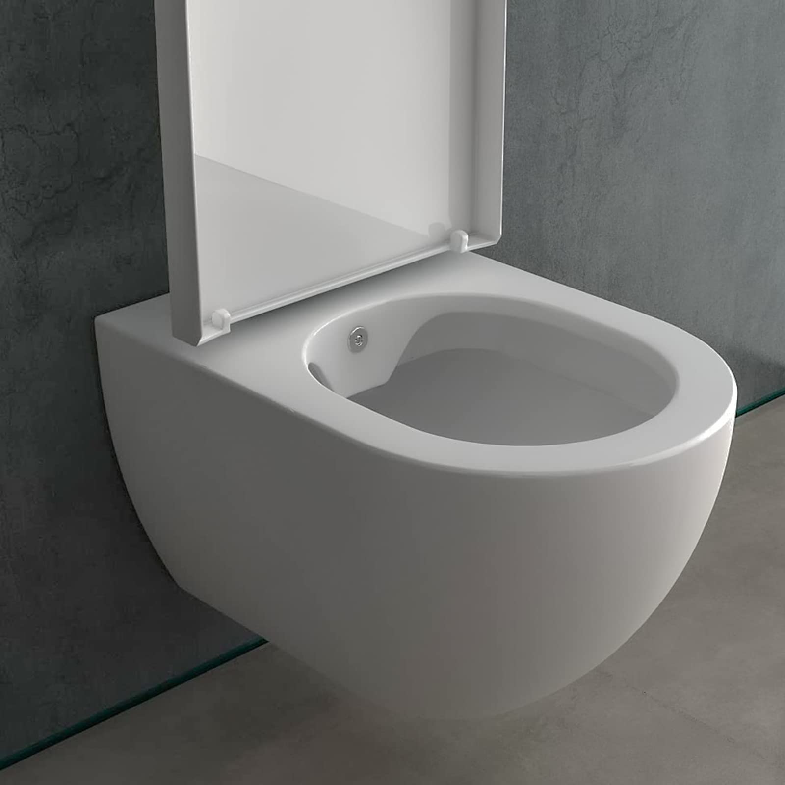 Alpenberger - Inodoro de ducha 2 en 1 con bidé y inodoro con asiento de descenso automático, con función bidé, nanorrevestimiento, efecto loto