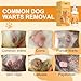 IPOTAO Dog Skin Tag Remover, Dog Wart Remover, Easy Dog Skin Tag Removal Treatment, Fast Acting, Gentle & Painless Wart Removal for Dogs, 20 ML