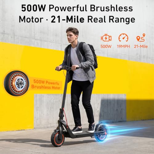 Zippglode Electric Scooter