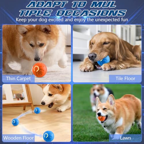 BSOON Intelligentes Interaktiver Ball für Hunde, Elektrisch, 2 Stück Automatisches Magic Hundespielzeug, Wiederaufladbar über USB (Blau+Orange)