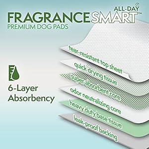 Simple Solution FragranceSmart™ Odor Control All Day Pads | Green Tea Fragrance Odor Neutralizer with Wetness Indicator | 100 ct