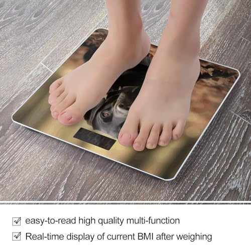Báscula Digital para Baño de Vidrio Templado con LCD miniatura 5