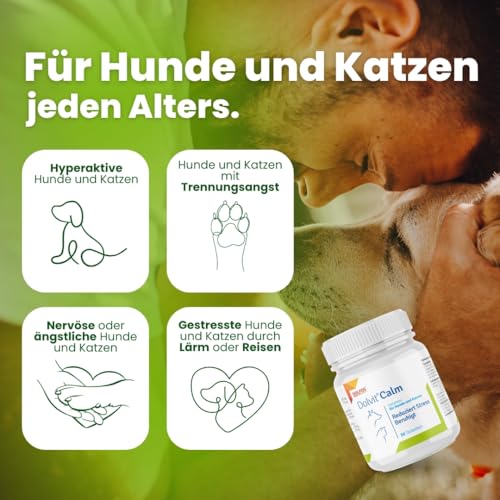 Dolvit Calm Beruhigungsmittel für Hunde und Katzen 30 Tabletten, Entspannungs- & Anti-Stress-mittel für Hunde mit Baldrian, L - Tryptophan und Zitronenmelisse, Schmackhaft und Leicht Enzunehmen