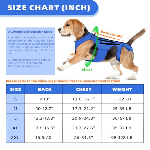 Image of Dog Back Brace for Dogs Arthritis, Dog Intervertebral Disc Protective, Dog Back Protective Brace Helps Pain Relief, Facilitate Surgical Recovery, Prevent Back Diseases in Dogs. (L)