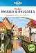 Produktbild Lonely Planet Pocket Bruges & Brussels: Top Sights, Local life, Made Easy