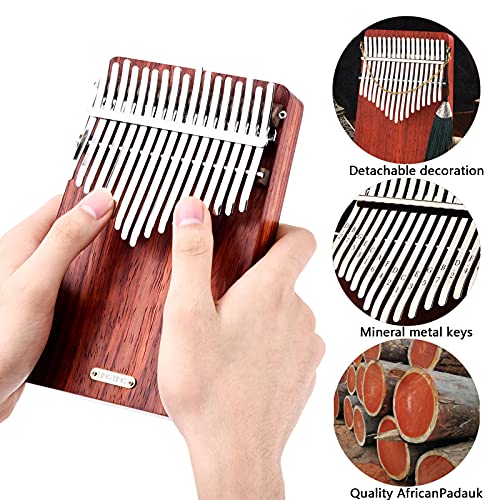 Image of LingTing Kalimba 17 keys Thumb Piano Mbira Finger Piano Gift for Adult Beginners Professional（LT-K17A,wind whisperer)