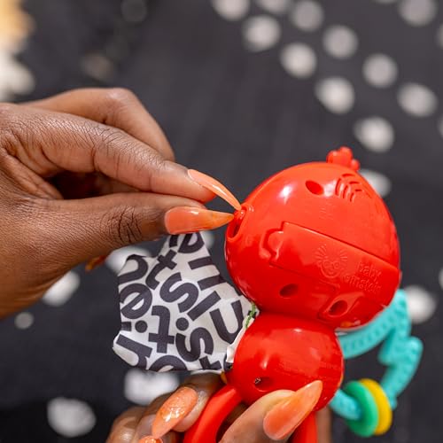 Image of Baby Einstein Roxys Bright Flight Musical Baby Toy & Teether, Plays Real Bird Sounds with 10+ Melodies, Multisensory, Ages 3 Months and Up