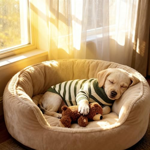 Image of Small Dog Sweater, Knitted Striped Pullover Dog Clothes, Indoor Cozy Stretchy Pajamas for Chihuahua, Bulldog, Dachshund, Pug(Green&White Strip, XL)