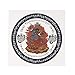 Feng Shui 2019 Home Protection Sticker (5 Pieces) W Red String Bracelet W3679