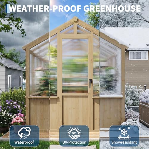 6x10 FT Greenhouse - Large Wooden Greenhouses for Outdoors, Heavy Duty Spruce Frame Greenhouse with PC Panels, Adjustable Roof Vents & Lockable Door, Walk-in Green Houses for Garden, Backyard, Patio by GarveeLife - Image 5