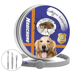 Magichome Collar Antiparasitario para Gatos contra Pulgas, Garrapatas y Mosquitos …