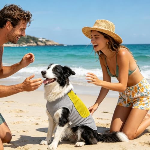 Chaleco refrescante para perro para cuidar a tu compañero en verano 3