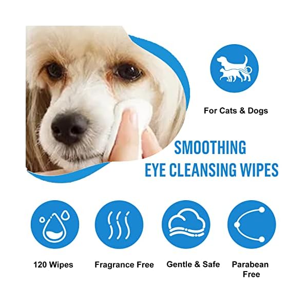 Dog Eye Wipes 120 Count – Gentle Dog Eye Cleaner Wipes Tear Stain Remover for White Dogs – Pet Eye Cleaning Wipes for Dogs Cats Puppy – Dog Eye Wipes for Discharge and Crust Dog Eye Wipes 120 Count – Gentle Dog Eye Cleaner Wipes Tear Stain Remover for White Dogs – Pet Eye Cleaning Wipes for Dogs Cats Puppy – Dog Eye Wipes for Discharge and Crust
