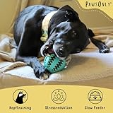 PawsOnly | Futterball für Hunde | Hundespielzeug Intelligenz | Leckerli Ball | Denkspiele | Snackball Naturkautschuk | Beschäftigung Hund | Zahnball (Klein 6 cm, Blau)