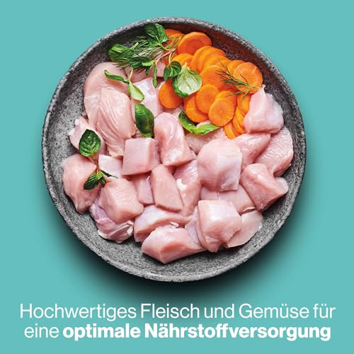 Pets Deli Nassfutter für Katzen 'Saucen Menü' mit Putenfilet und Karotte ohne Zucker und Gluten 12 x 70g