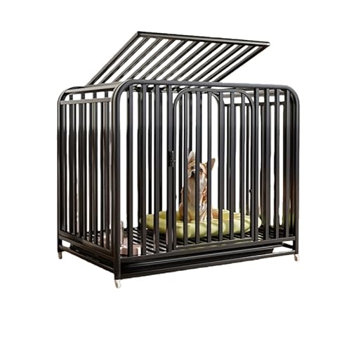 Lopres ybgP[W XeX ` Eh~  p gȒP  ybgpi  O ^^pN[gApxr[T[NAXeXX`[pAbNhAƎԗ ^ybgp̎O\ȃgC (ubN,11