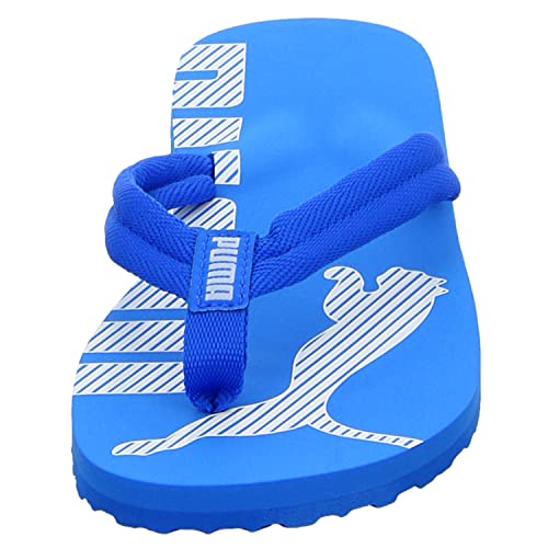 Image of PUMA Epic Flip V2 Synthetic Slipon Womens Athleisure Flip Flops