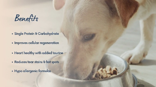 Amazon.com: Canine Caviar - Wild Ocean: Herring & Teff Alkaline