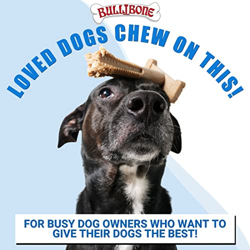 Image of Bullibone SuperBrush Dog Dental Chew Toy for Small and Medium Breeds (2 Pack) - Long Lasting Nylon Toothbrush Stick for Teeth Cleaning, Rawhide Free, Made in USA, Apple Cinnamon