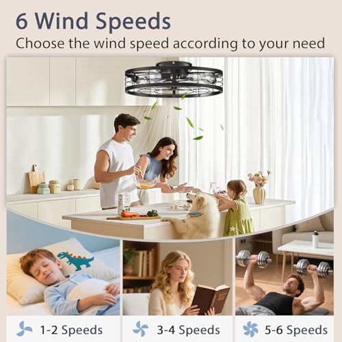 Image of VOLISUN Caged Ceiling Fan with Light and Remote,23.6 inch Fandelier Ceiling Fan with Light Flush Mount, Farmhouse Bladeless Ceiling Fans with Lights for Kitchen,Bedroom