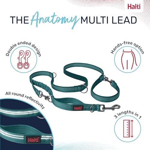 Image of Halti Anatomy Multifunctional Dog Leash | Size Large, Teal | Shock Absorbing Double-Ended Leash, Ideal for Puppy and Dog Walking & Training. Comfortable to Hold, Reflective & Lightweight