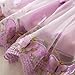 Girls Dresses Cute Flower Embroidered Ruffle Sleeve Sundress 2026 Fashion Casual Flowy Tulle Bow Princess Dresses A04-Purple 18-24 Months