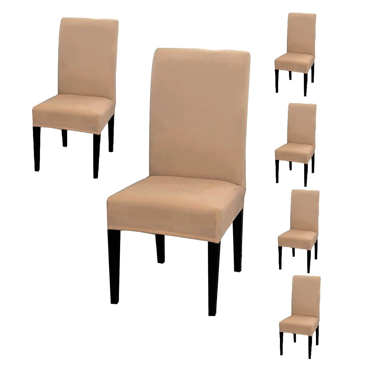BRIDA Polyester Stretchable Solid Dining Chair Covers (6 Chair Cover, Plain Camel)