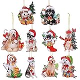 Photo Gallery gukasxi 10 ornamenti per albero di natale a forma di cane, decorazione natalizia in acrilico 2d, ciondolo da appendere all albero di natale, ornamento natalizio per cani, regali per gli amanti dei Photo Gallery gukasxi 10 ornamenti per albero di natale a forma di cane, decorazione natalizia in acrilico 2d, ciondolo da appendere all albero di natale, ornamento natalizio per cani, regali per gli amanti dei