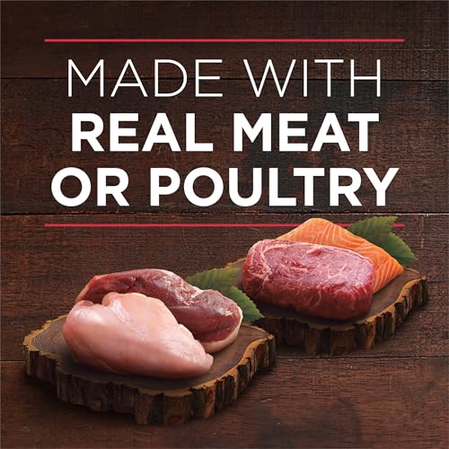 Image of Purina ONE True Instinct Tender Cuts in Gravy with Real Chicken and Duck, with Real Beef and Salmon High Protein Wet Dog Food Variety Pack - (Pack of 1) 13 oz. Cans