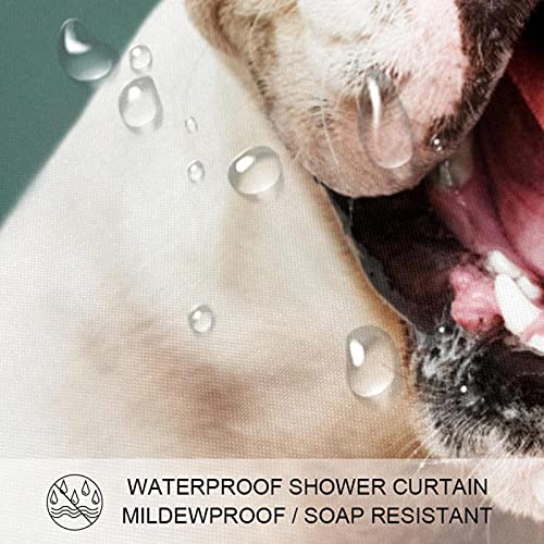 Rideau de douche bouledogue lavable pour éliminer les éclaboussures de la salle de bain - 4