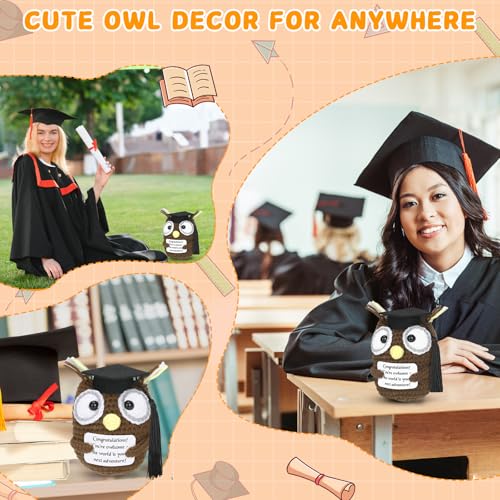 Image of Mini Funny Positive Crochet Owl with Cap for Her Him, 2026 Graduation Gifts Emotional Crochet Animals High School Graduation Gifts for Friends Teacher Office Decor