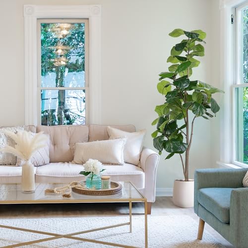 Jocoevol Artificial Fiddle Leaf Tree, 6Ft Faux Plant Fake Ficus Lyrata Silk Trees With White Planter, Artificial Fig Trees Floor Plants For House Office Living Room Indoor Home Decor thumb #2