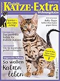  Geliebte Katze Extra 21: Wohnungskatze