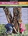 Pictorial Art Quilt Guidebook: Secrets to Capturing Your Photos in Fabric