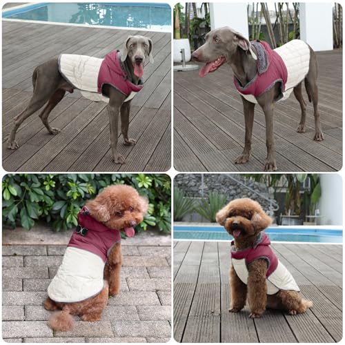 Image of JoyDaog Detachable Hooded Dog Coat with Harness for Small Dogs,Red XS | Warm Fleece Lined Puppy Jacket for Winter Cold Weather,Snowsuit with 2 D-Rings Easy for Daily Walk