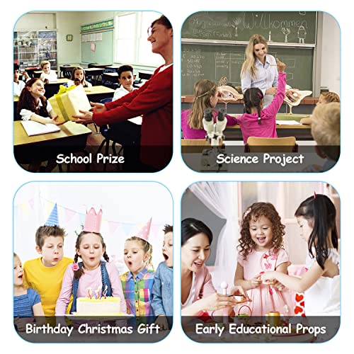 Flormoon Realistic Animal Figures Cricket Figurines Insect Toy, Science Project, Cake Topper, Early Educational Toys Birthday For Toddlers Kids Age 3 4 5 #TOP4