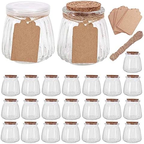 4oz Glass Jars with PE Lids and Cork Lids, 24 Pack Mini Pudding Jars Clear Yogurt Jars Glass Favor Jars Containers for Spice, Jam, honey, Mousse, Wedding Favors, Shower Favors, Baby Foods, DIY and Art Cover