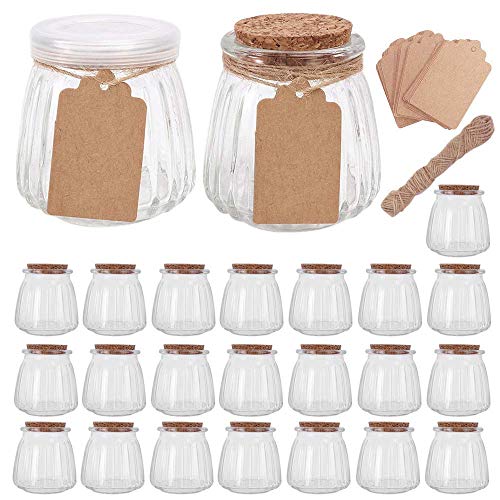 4oz Glass Jars with PE Lids and Cork Lids, 24 Pack Mini Pudding Jars Clear Yogurt Jars Glass Favor Jars Containers for Spice, Jam, honey, Mousse, Wedding Favors, Shower Favors, DIY and Art