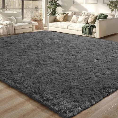 Merelax Large Shaggy Indoor Rug for Livingroom