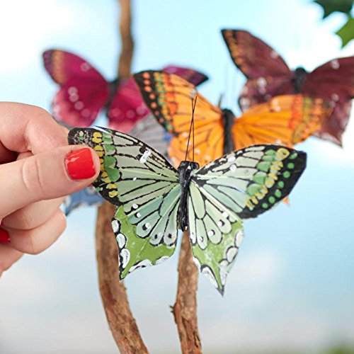 Factory Direct Craft Multicolored Feathered Butterflies- 12 Butterflies