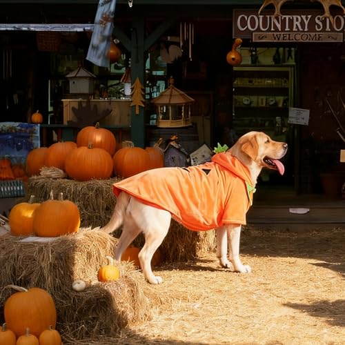 Disfraz de Calabaza para Perro Grande 3XL Naranja miniatura 3