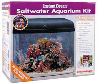 saltwater starter kit