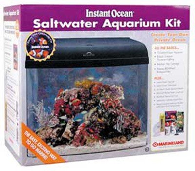 small saltwater aquarium kit