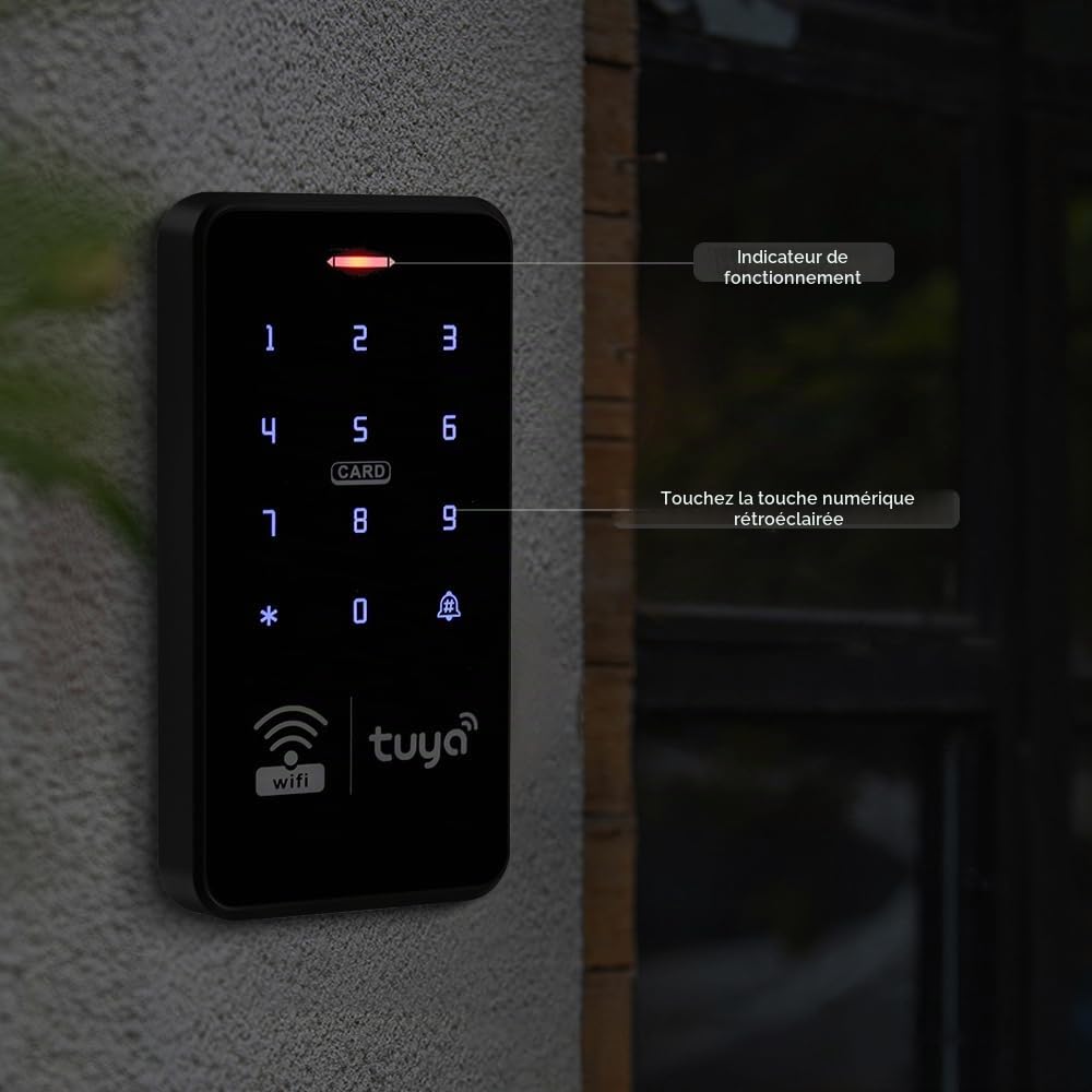 Kit de Serrure de Porte sans clé Tuya Imperméable à l'eau Double Fréquence Clavier avec DC 12V NC Sécurité électrique Serrure 3A Système de Sécurité d'alimentation