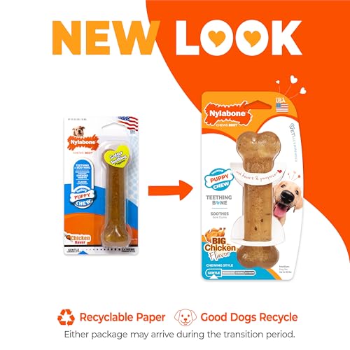 Nylabone Kauknochen für Welpen, normale Größe