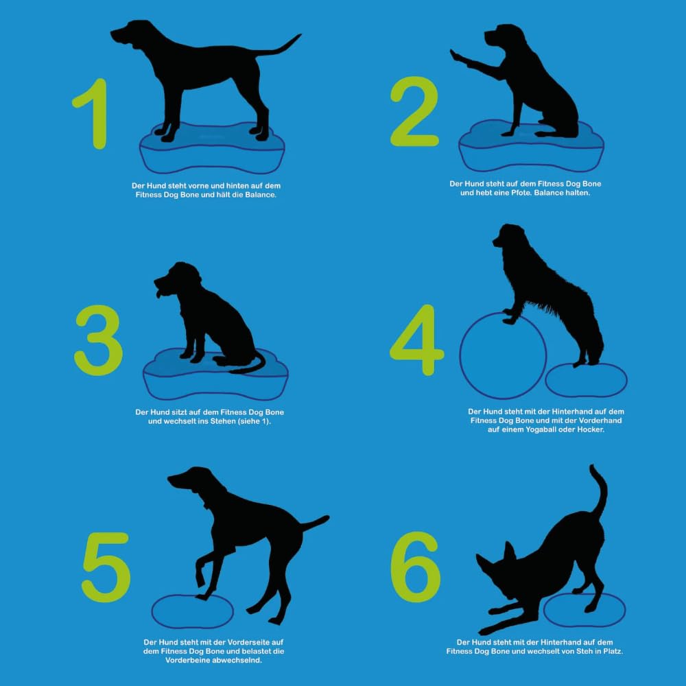 Generisch Fitness Dog Bone - Balance Pad & Wackelkissen - orthopädisches Hundetraining & Spiel - Trainingsgerät, Board, Kissen, Zubehör, Toy - inkl. Pumpe - für kleine & große Hunde