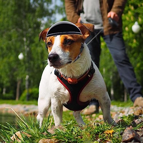 Hunde Sonnenbrille und Helm | 2 Stück Haustier Helm mit Hundebrille | Verstellbare Motorradhelme mit Weichschaum | Hundebrillen Hundehelm Set Haustierzubehör für Hunde, Kopf- und Augenschutz
